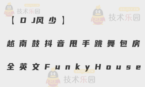 【DJ风少】越南鼓抖音甩手跳舞包房全英文FunkyHouse