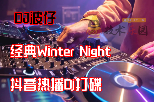 【DJ波仔】经典Winter Night 抖音热播Dj打碟